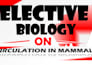 craete 10 lesson notes for a level and igcse